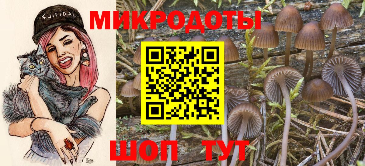Экстази Йошкар-Ола